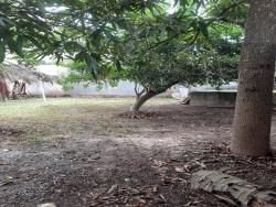 #67 - Área para Venda em Cabo Frio - RJ - 2