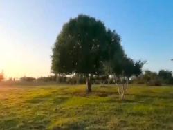 #104 - Área para Venda em Cabo Frio - RJ - 1