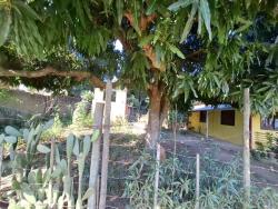 #116 - Casa para Venda em São Pedro da Aldeia - RJ - 3