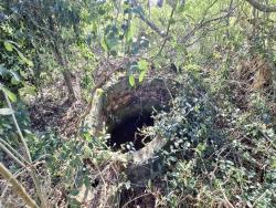 #141 - Sítio para Venda em São Pedro da Aldeia - RJ - 3