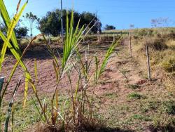 #157 - Terreno para Venda em Soledade de Minas - MG - 3
