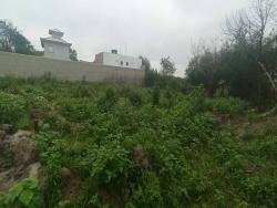 #180 - Área para Venda em Armação dos Búzios - RJ - 3