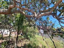 #335 - Área para Venda em Cabo Frio - RJ - 3