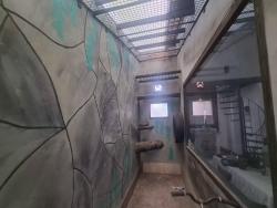 #338 - Casa para Locação em São Pedro da Aldeia - RJ - 3